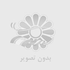 خرید طارم هاشمی فریدون کنار